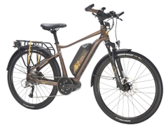 GIANT EXPEDITION E+ (xe đạp trợ lực điện)
