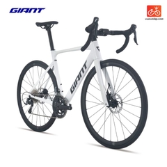 GIANT PCR LTD 1 2025
