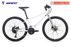 Xe đạp trẻ em GIANT FASTROAD 24 JR 1 2023