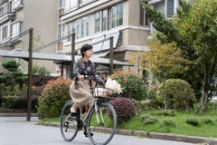 Xe đạp đường phố GIANT INEED DANDY RD