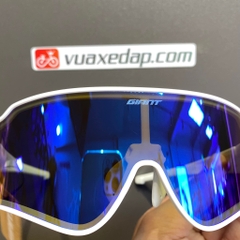 Kính đạp xe GIANT JN