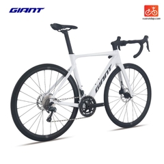 GIANT PCR LTD 1 2025