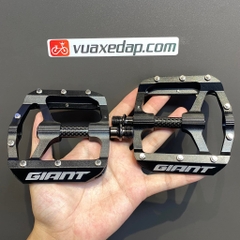 BÀN ĐẠP GIANT – HILL CARBON