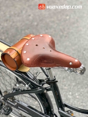 Xe đạp Hàn Quốc Nomad Swan