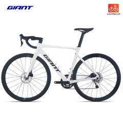 GIANT PCR LTD 1 2025