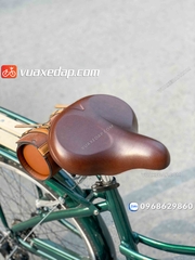 Xe đạp Nomad Swan / Màu xanh lục