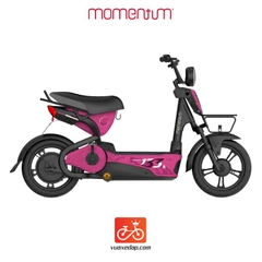 Xe đạp điện GIANT M133R 2024 (4 BÌNH)