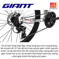 Xe Đạp GIANT 2025 XTC 24-D 2