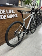 GIANT 2026 REVOLT-F 1