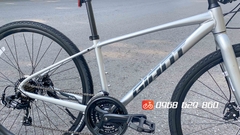 GIANT ESCAPE 2 2022