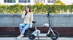 Xe đạp điện Giant JIEJING E+ 12 inchs, gập gọn