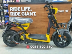 Xe điện Giant Elem 133 2020 (Nhập Khẩu)