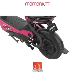 Xe đạp điện GIANT M133R 2024 (4 BÌNH)