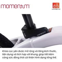 Xe Đạp Gấp MOMENTUM 2025 ITHINK EXPRESSWAY D2
