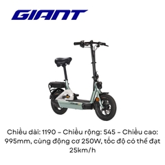 Xe đạp điện Giant JIEJING E+ 12 inchs, gập gọn