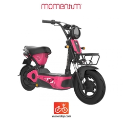 Xe đạp điện GIANT M133R 2024 (4 BÌNH)