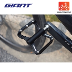BÀN ĐẠP GIANT – BUTTERFLY