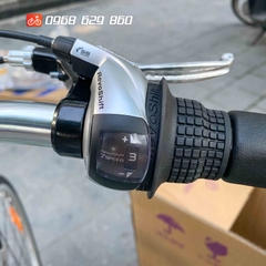 Momentum Ineed Street 2022 (Giant Quốc Tế)