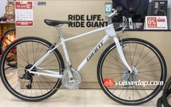 GIANT ESCAPE R3 MS 2022 (Nội địa Nhật Bản)