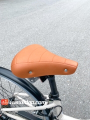 Xe đạp đường phố GIANT INEED DANDY RD