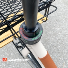 Xe đạp đường phố GIANT INEED DANDY RD