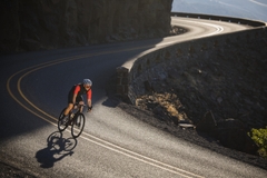 GIANT Defy Advanced Pro 2 2024