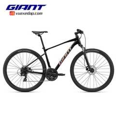 Xe đạp GIANT Roam 4 Disc 2022 (Bản Quốc Tế)