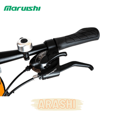MARUISHI ARASHI