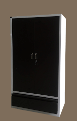 Tủ 2 Buồng Ngăn Kéo