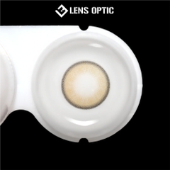 Kính áp tròng Lensgraphy 1 ngày màu Sweet Circle Brown, lens nâu tự nhiên, êm nhẹ