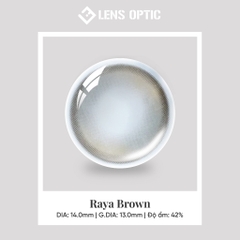 Kính Áp Tròng 1 Tháng RAYA BROWN, Lens Nâu Tây Tự Nhiên