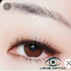 Kính áp tròng Freshkon Alluring 3 tháng màu Winsome Brown, lens nâu có độ cận