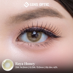 Kính Áp Tròng 1 Tháng RAYA HONEY, Lens màu mật ong tự nhiên