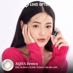 Kính áp tròng 6 tháng màu AQHA Brown, Lens Sắc Nâu Trầm Quý Phái