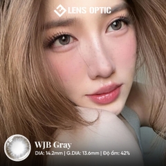 Kính Áp Tròng 6 Tháng WJB Gray – Lens Xám Có Độ Đeo Êm Ái, Chuẩn Hãng