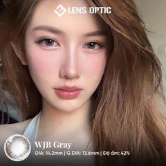 Kính Áp Tròng 6 Tháng WJB Gray – Lens Xám Có Độ Đeo Êm Ái, Chuẩn Hãng
