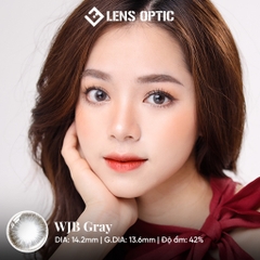 Kính Áp Tròng 6 Tháng WJB Gray – Lens Xám Có Độ Đeo Êm Ái, Chuẩn Hãng