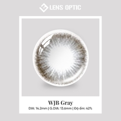 Kính Áp Tròng 6 Tháng WJB Gray – Lens Xám Có Độ Đeo Êm Ái, Chuẩn Hãng