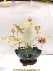 HOA SEN BÁT ĐỒNG VÀNG