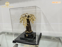 CÂY KIM TIỀN MAY MẮN, TÀI LỘC PHONG THỦY TỐT