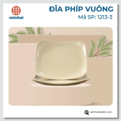 ĐĨA PHÍP VUÔNG 1213-3