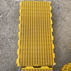 sàn vịt 50x100 cm dài