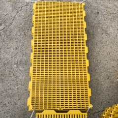 tấm lót sàn heo 100x50 vàng