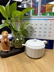 hũ gia vị có muỗng TL087
