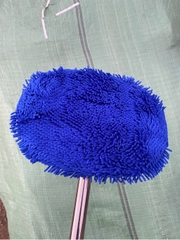 cây lau tường ovan 3m tt mới