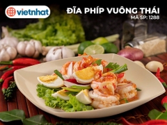ĐĨA PHÍP VUÔNG THÁI 1288