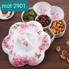 khay mứt phíp 2901