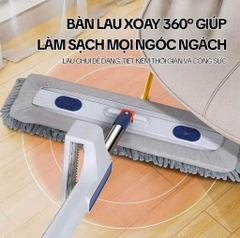 CÂY LAU NHÀ SAN HÔ