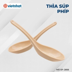 THÌA SÚP PHÍP 2856