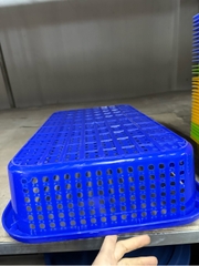 RỔ APPLE LỚN S024